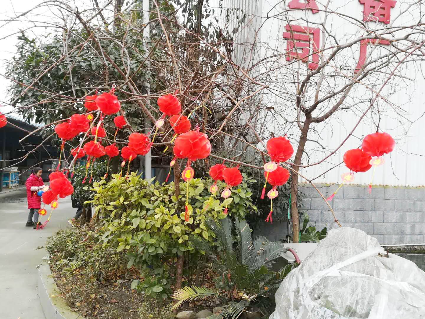 四川大菠萝福利网站大菠萝福利网站导航设备公司年会4