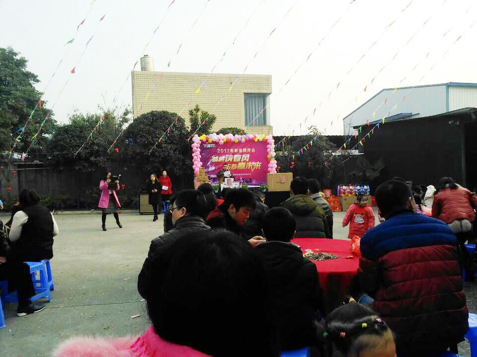欢祝大菠萝福利网站2017年新春团拜会顺利召开