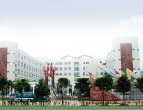 乐山外国语小学学校食堂大菠萝福利网站导航设备工程项目