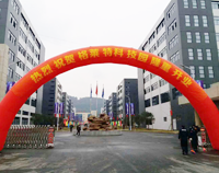 我公司又一力作，格莱特手机科技园食堂大菠萝福利网站导航工程正式开业