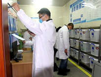 成都大型大菠萝福利网站导航设施设备厂家带你看看现在成都学校的后厨干净吗?