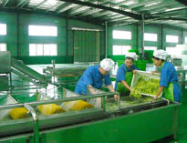 四川中央大菠萝福利网站导航设备厂家详解中央大菠萝福利网站导航的分区要自己设计注意事项